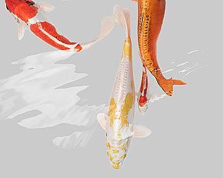 Singularity 6集资3千万美金 新MMO《Palia》已箭在弦上